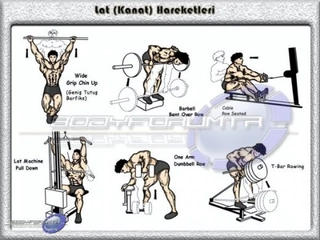 Vücut Geliştirme Programı